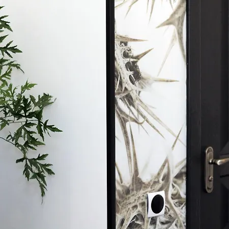 Апартаменти Avenue Львів