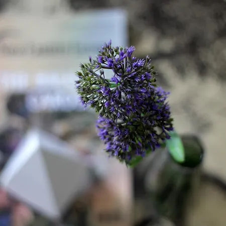 Апартаменти Avenue *