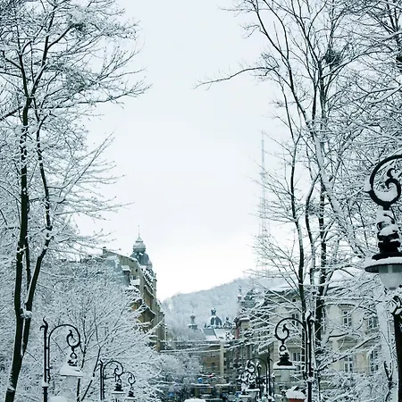 Avenue Apartment Lviv