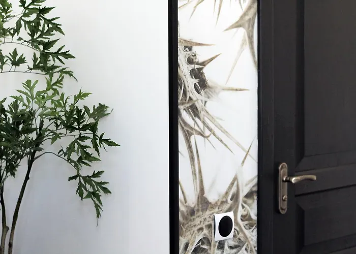 Apartament Avenue Lwów