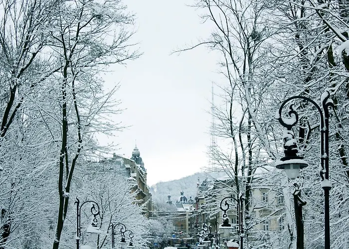 Avenue Apartman Lviv